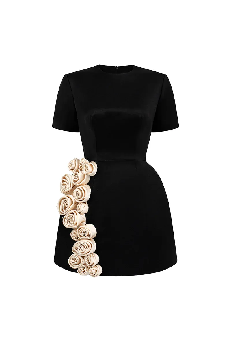 Rylan A-line Applique Mini Dress