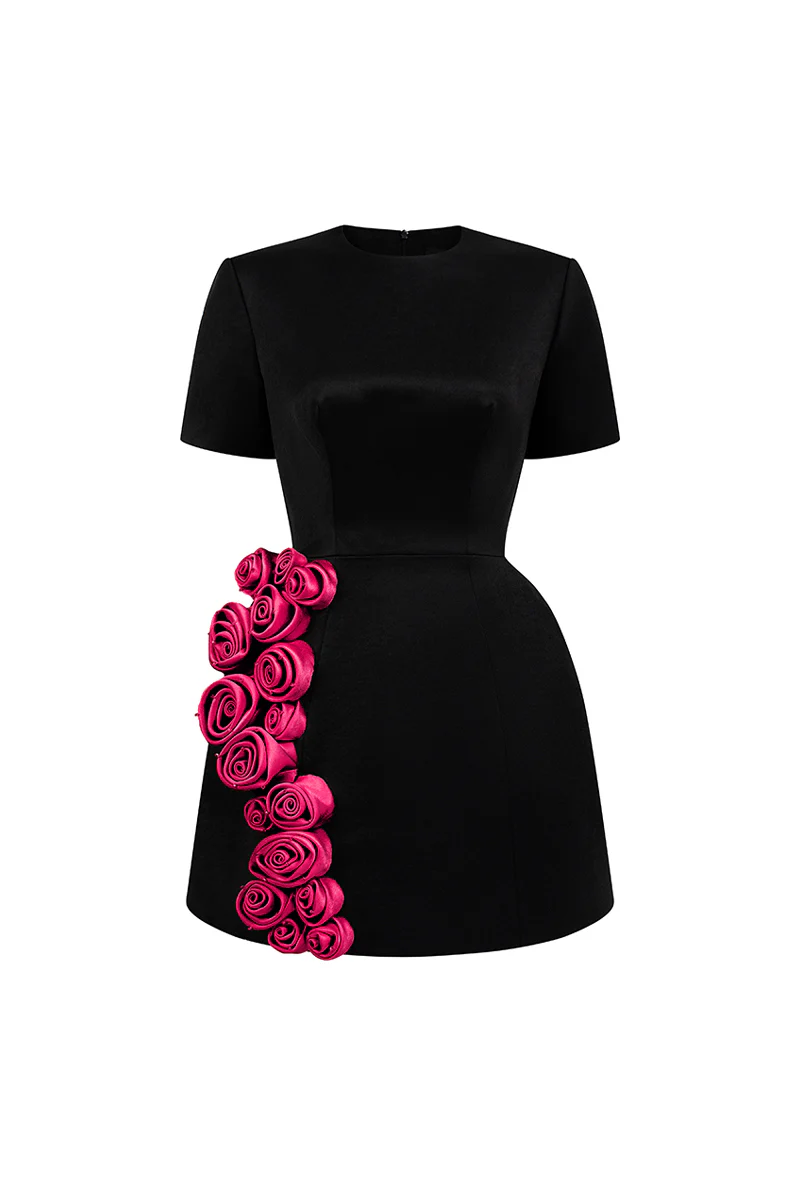 Rylan A-line Applique Mini Dress