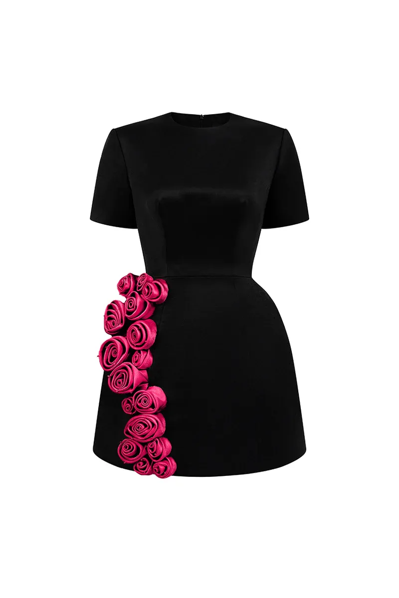 Rylan A-line Applique Mini Dress