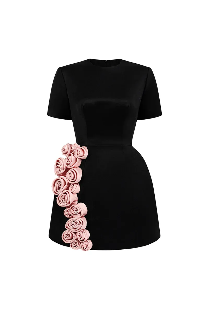 Rylan A-line Applique Mini Dress