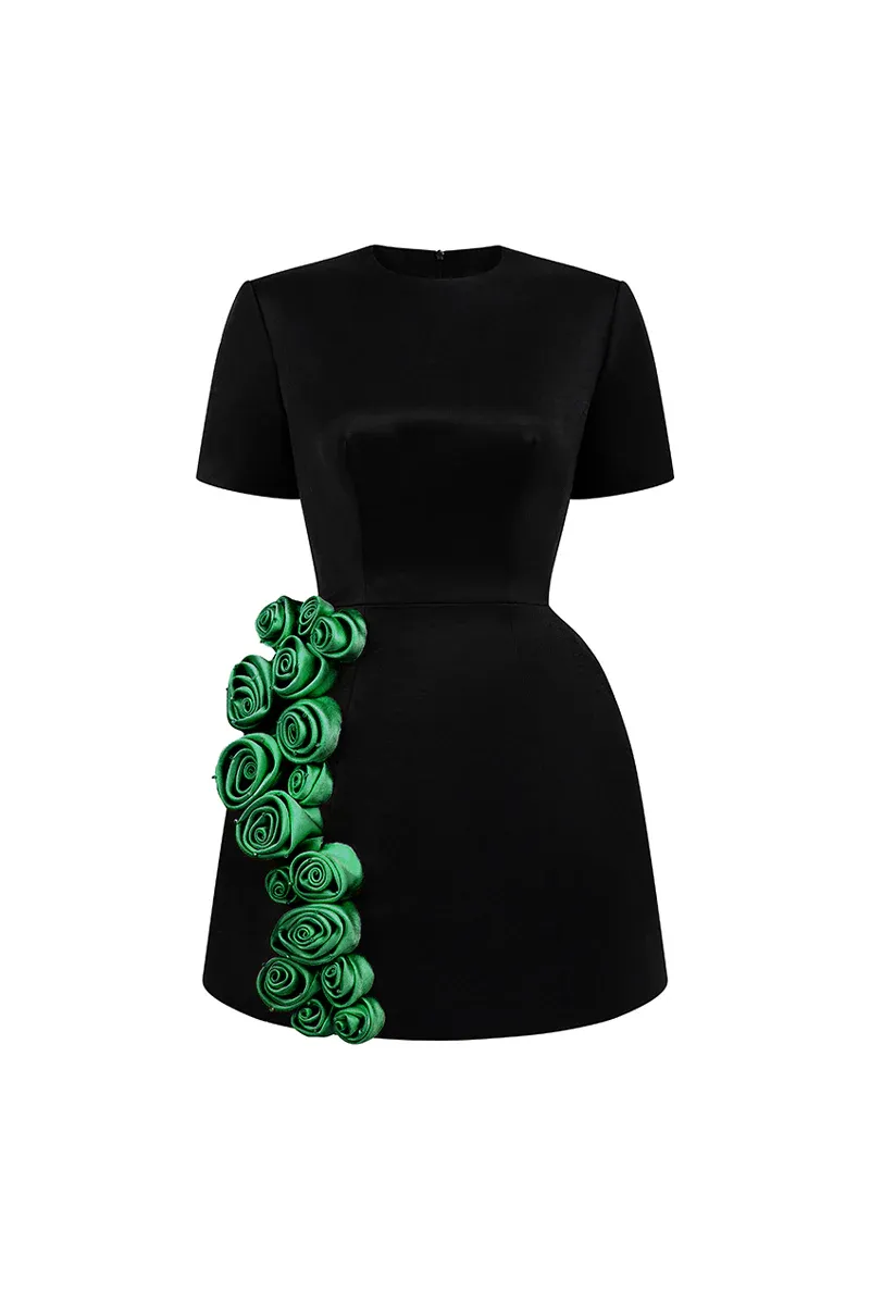 Rylan A-line Applique Mini Dress