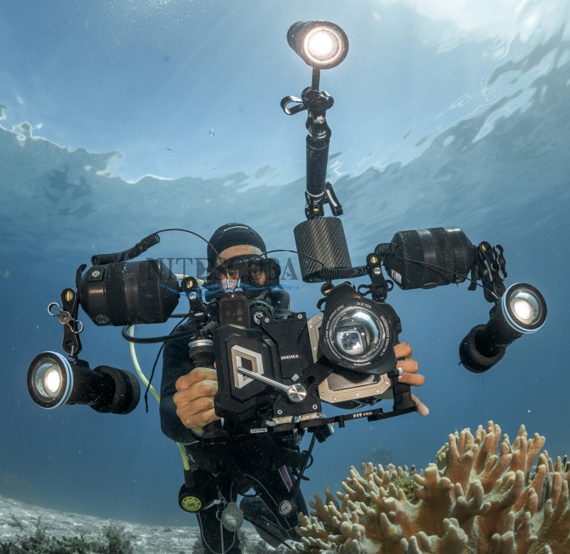 DIVEVOLK Seatouch 4 Max Waterproof Phone Housing