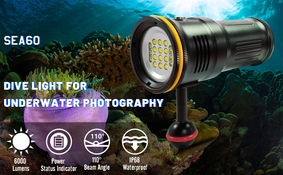 邦楽 Night Diver 邦楽 Night Diver 邦楽 Night Diver TAG Heuer Night Diver | eBay