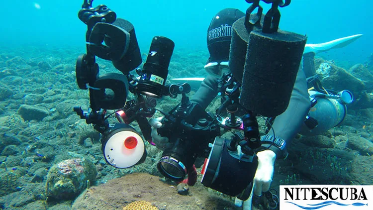 HTB1XQHTXijrK1RjSsplq6xHmVXaY