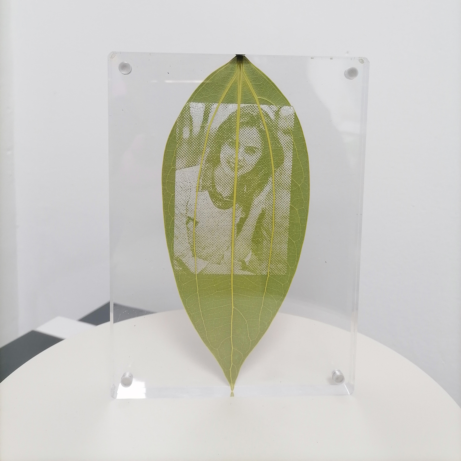 Custom Leaf Carving with Acrylic Photos Frame Personalized Real Leaf Customized Unique Photo Gifts
