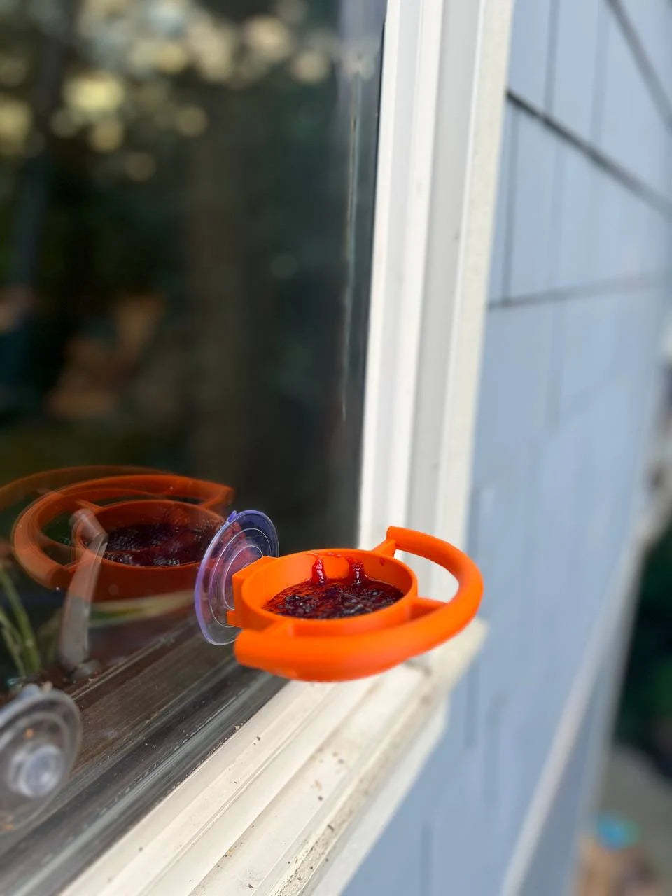 Bird Feeder Suction Cup Holder