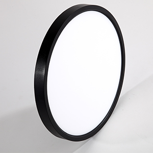 TALOYA C2 Series 5CCT in 1 Flush Mount LED ceiling Light Fixture,20/24W,3000K/3500K/4000K/5000K/6500K, Black/ White Color, Non-DIMMABLE