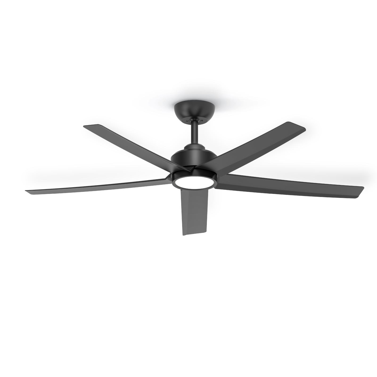 Black Color Fans