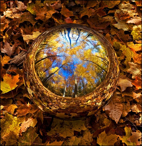  Crystal Clear Glass Ball