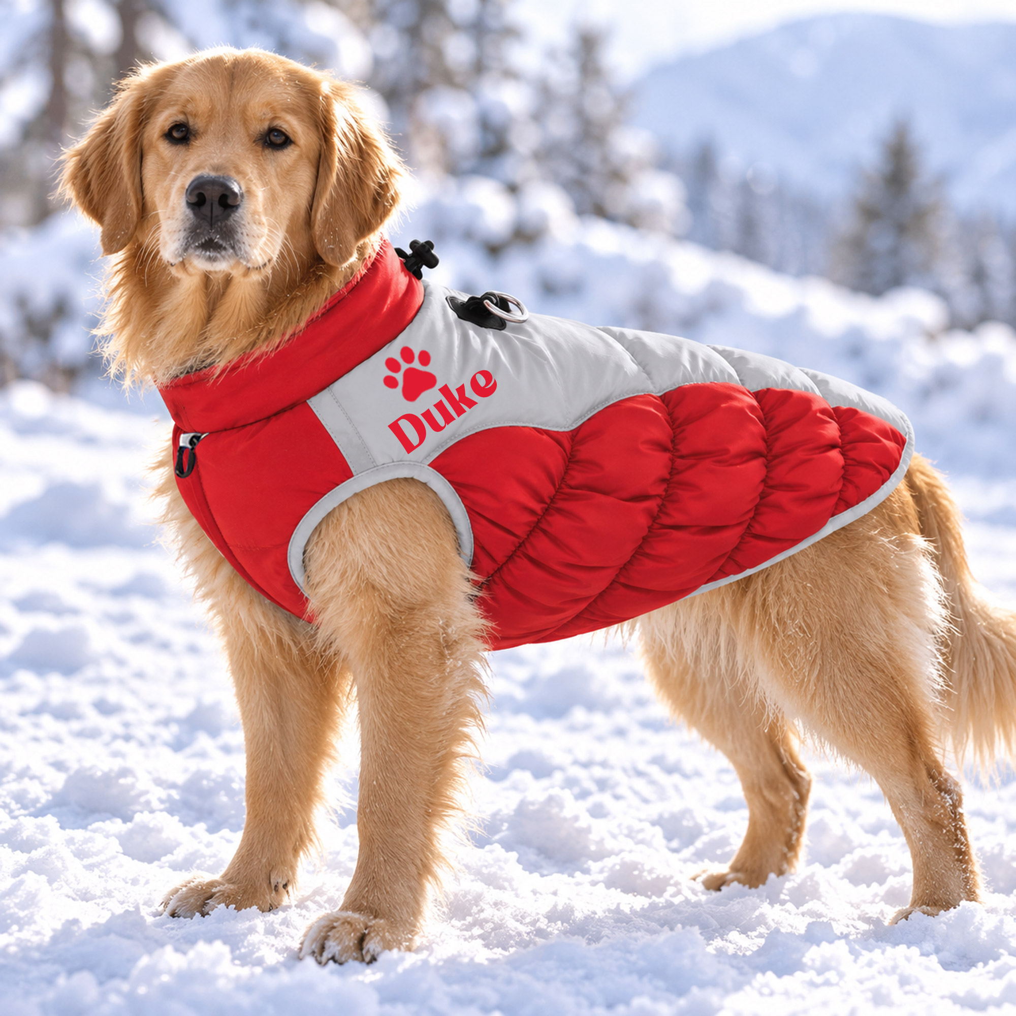 Personalized Custom Pet Name Large Size Winter Warm Puffer Vest 