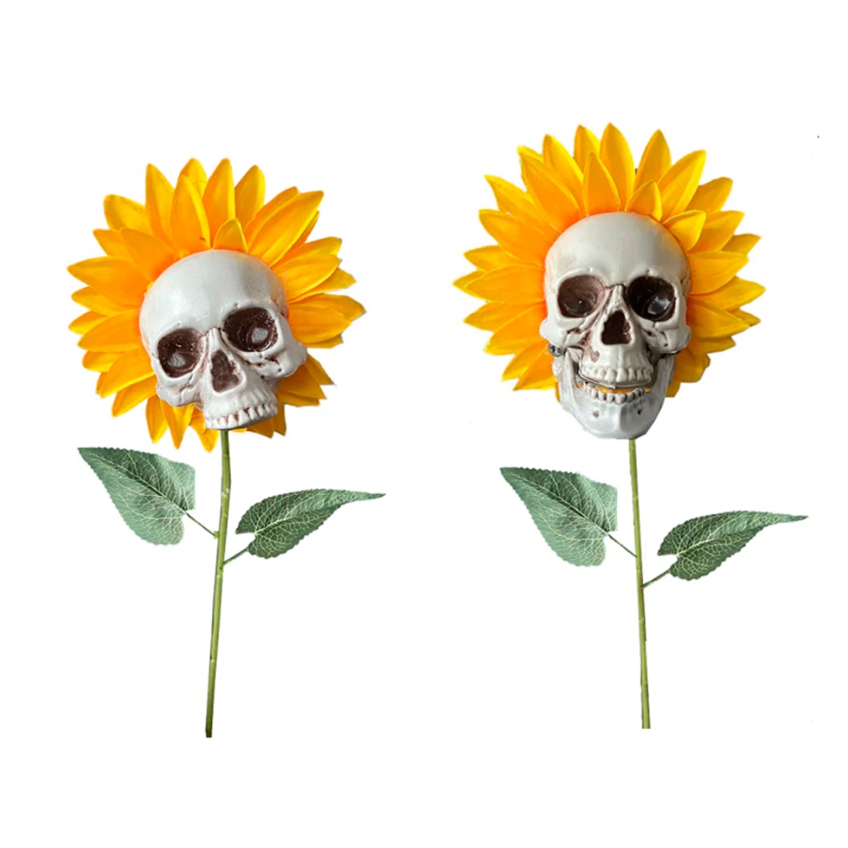 Sunflower Skull