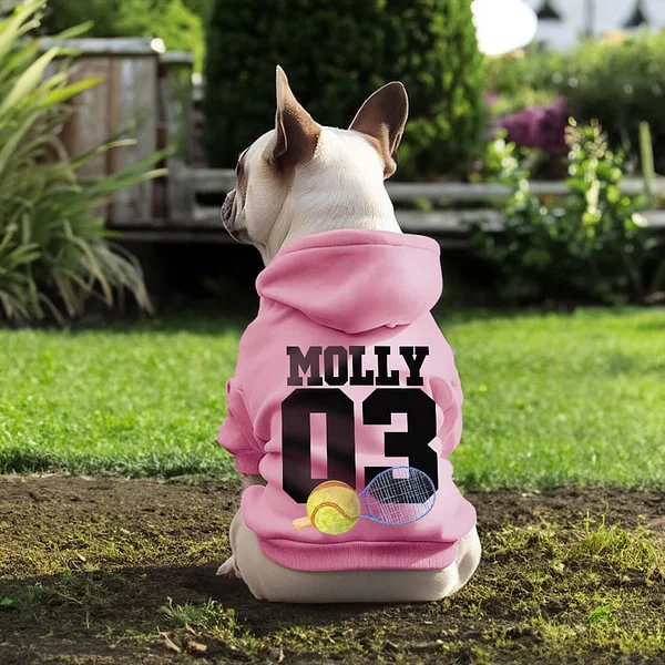Personalized Multicolor Basketball Football Baseball Dog Hoodie with Name Number