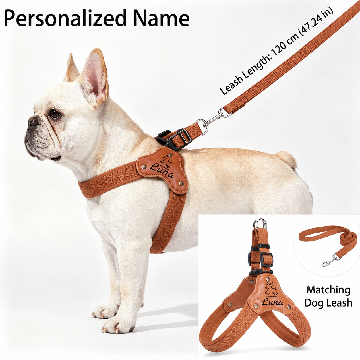 Personalized No-Pull Dog Harness & Leash Set