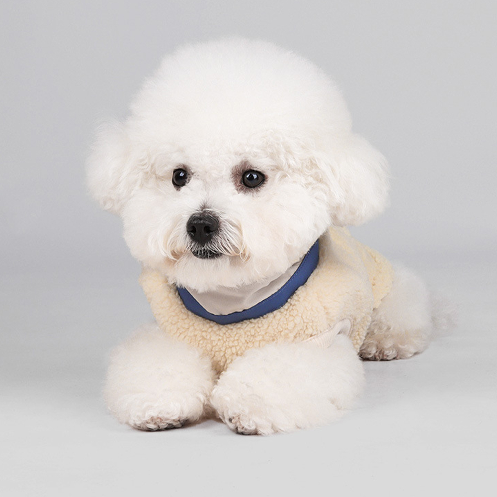 Personalized Leather Patch Pets Color Sweatshirts