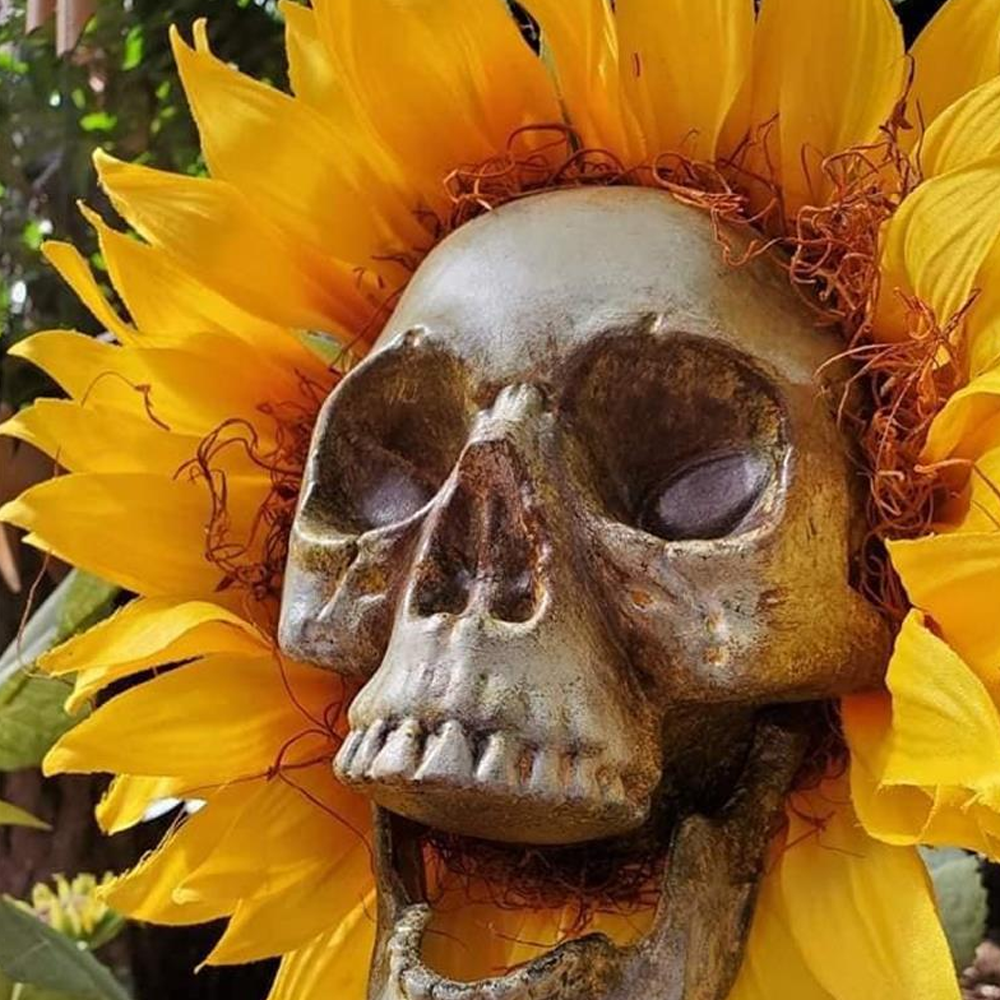 Sunflower Skull