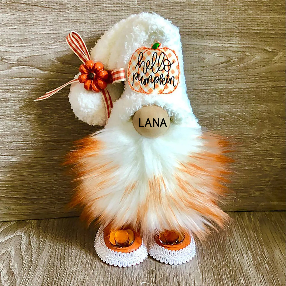 🔥Christmas Gifts🎉Personalized Gnome Dolls