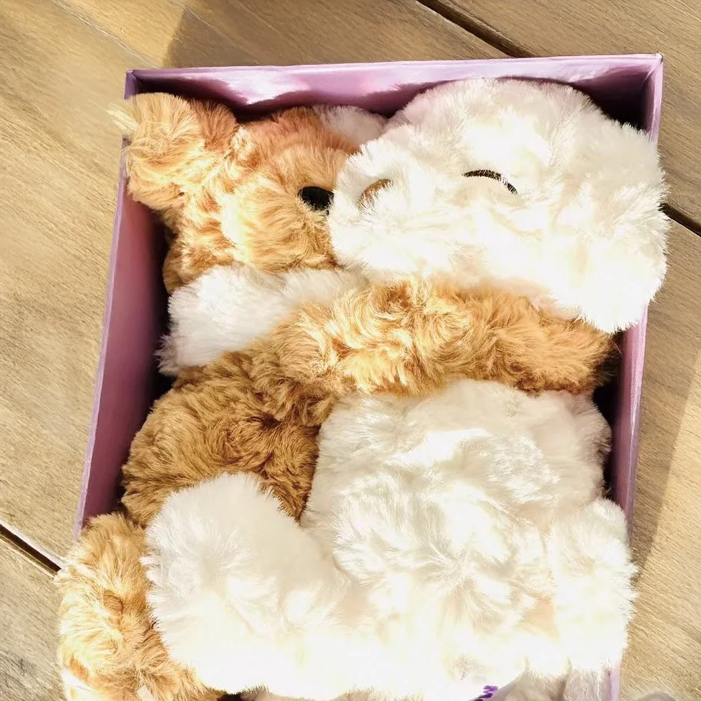 (Set of 2) Personalized Lavender Scented Doll with Name, Custom Hugging Bear/Puppy Plush Toy, Valentine's Day/Anniversary Gift for Couple/Lover/Friend