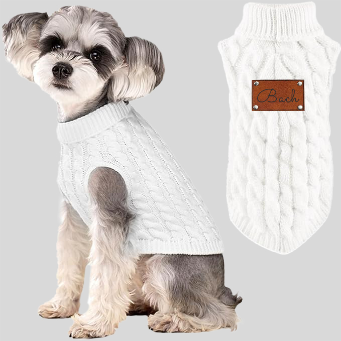 Personalized Name Winter Pet Sweater Vest | KKPet59