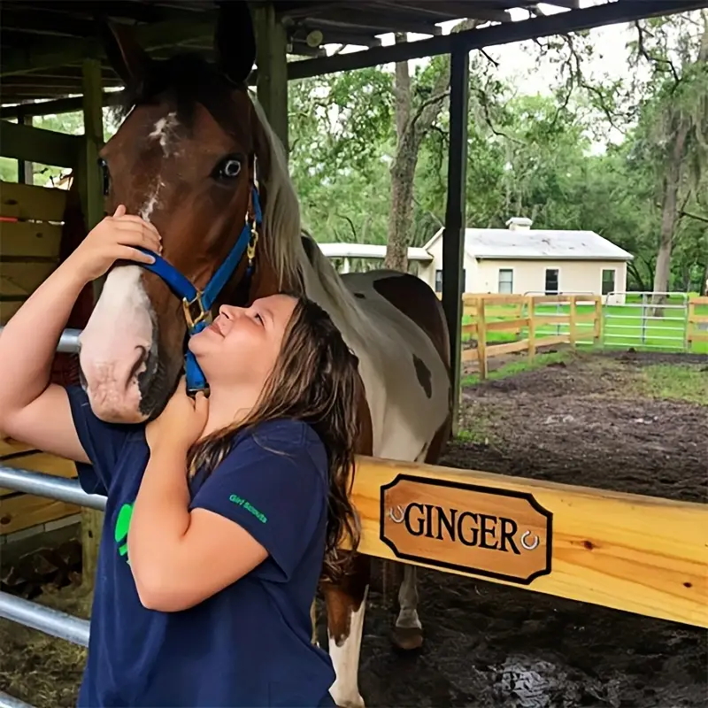 Personalized Horse Name Plaque 