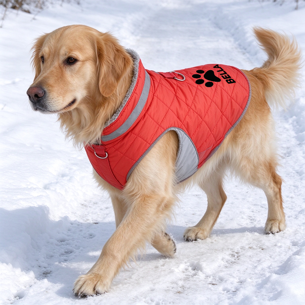Coat-Personalized Custom Pet Name Winter Warm Coat