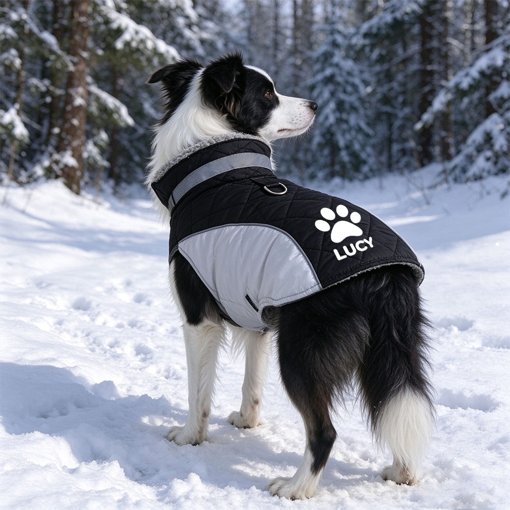 Coat-Personalized Custom Pet Name Winter Warm Coat