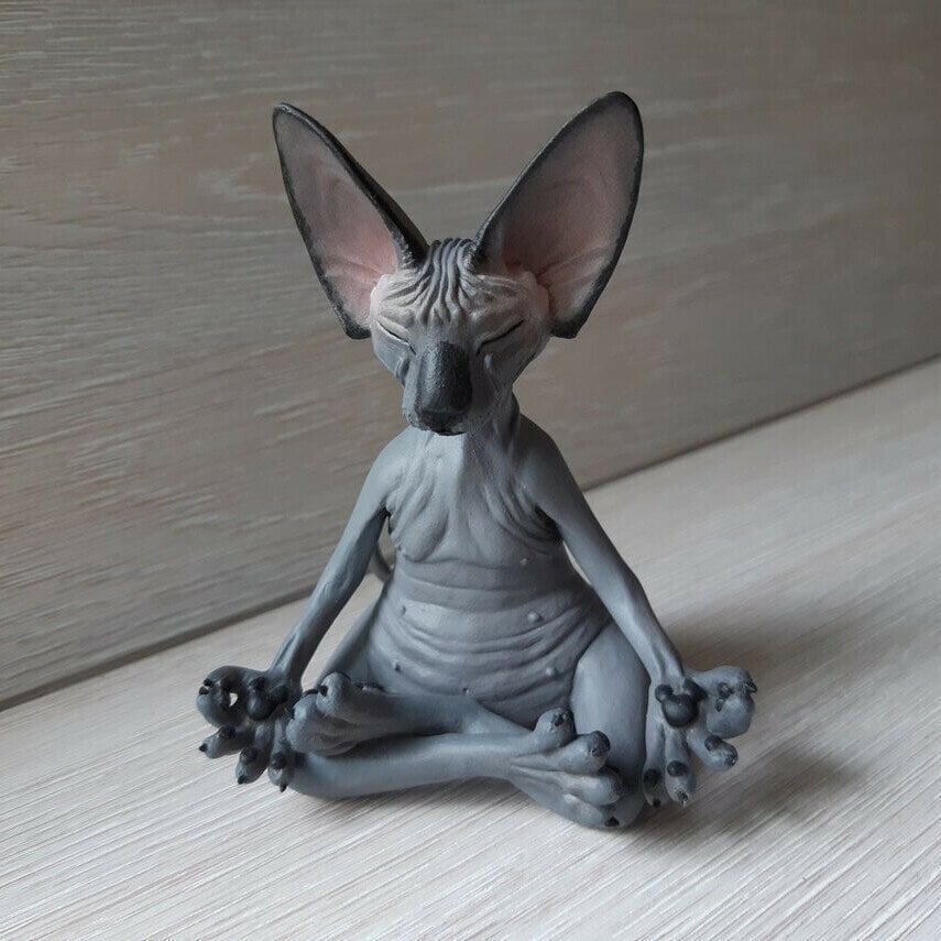 Sphynx Cat Meditate Yoga
