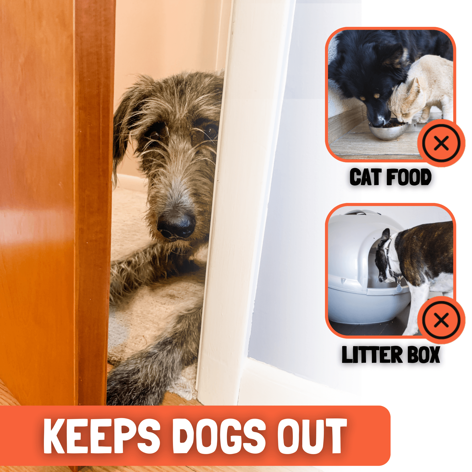 Door Buddy Door Latch for Cats - keep door open for cats