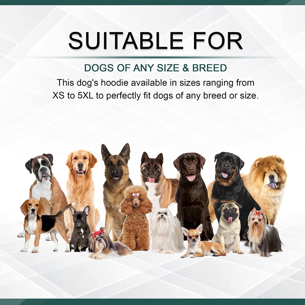 Personalized Dog Hoodie with Name and Paws