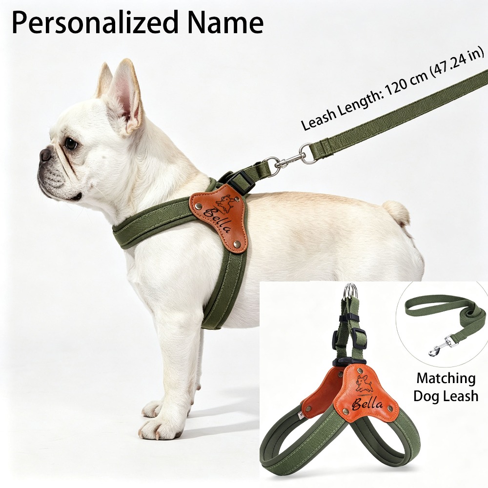 Personalized No-Pull Dog Harness