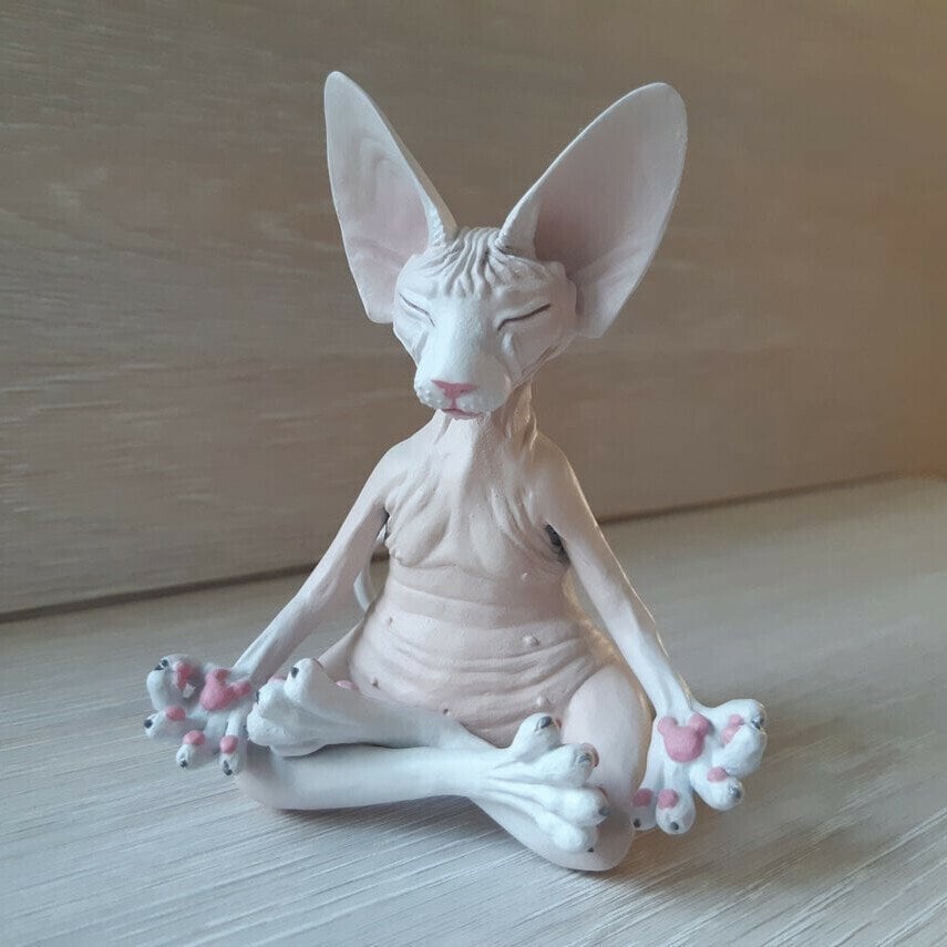 Sphynx Cat Meditate Yoga