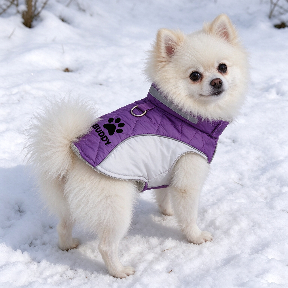 Coat-Personalized Custom Pet Name Winter Warm Coat