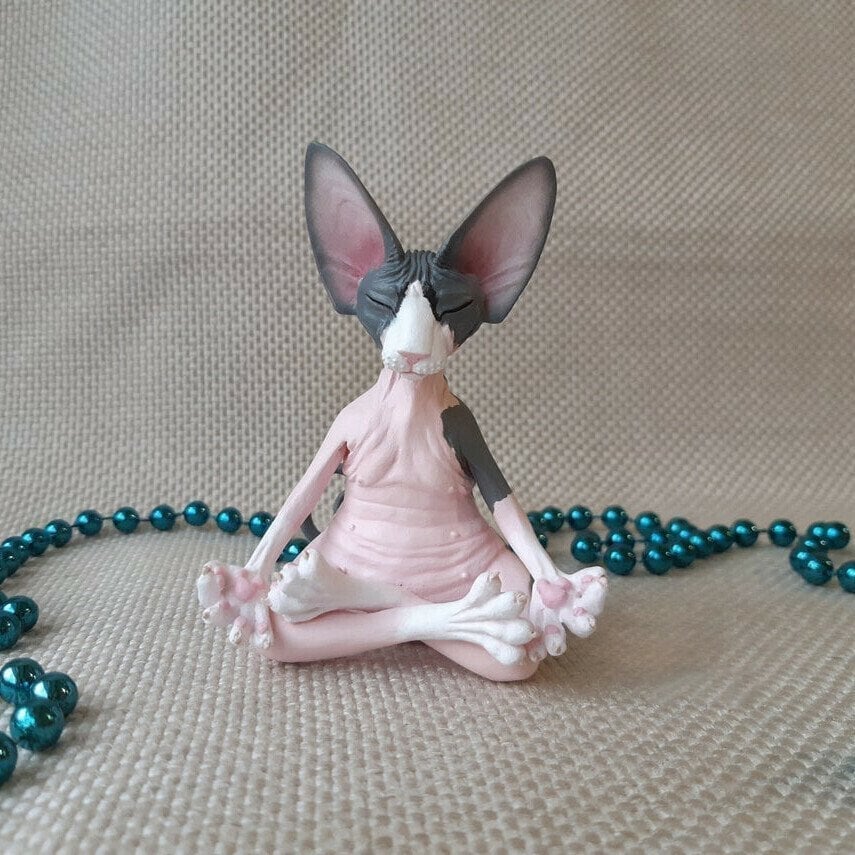 Sphynx Cat Meditate Yoga