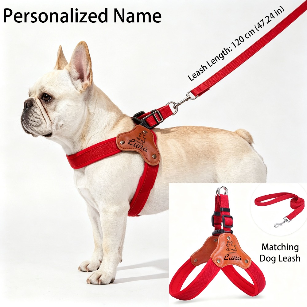 Personalized No-Pull Dog Harness