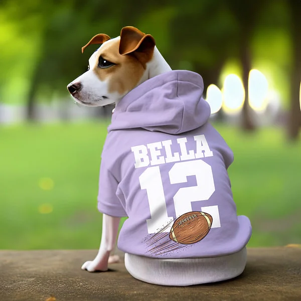 Personalized Multicolor Basketball Football Baseball Dog Hoodie with Name Number