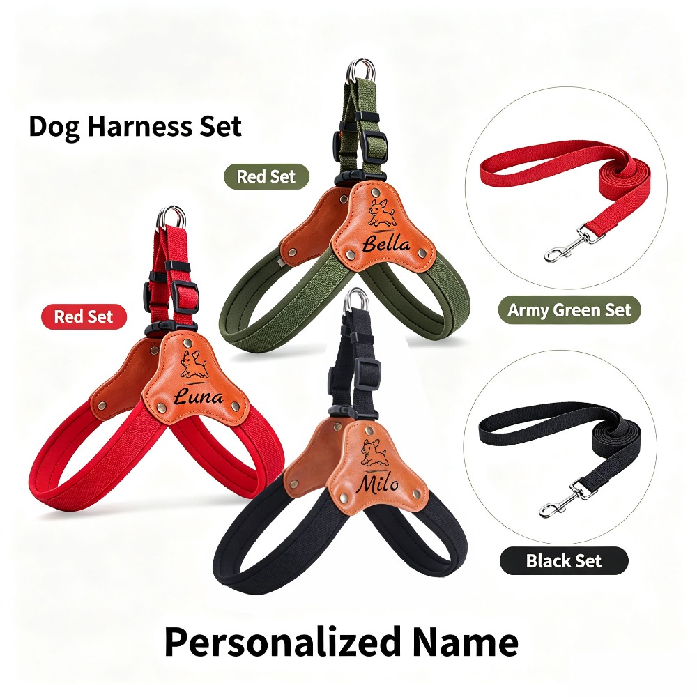 Personalized No-Pull Dog Harness