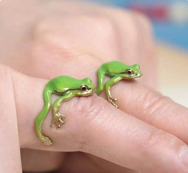 Latest-Tree Frog Ring & Earrings