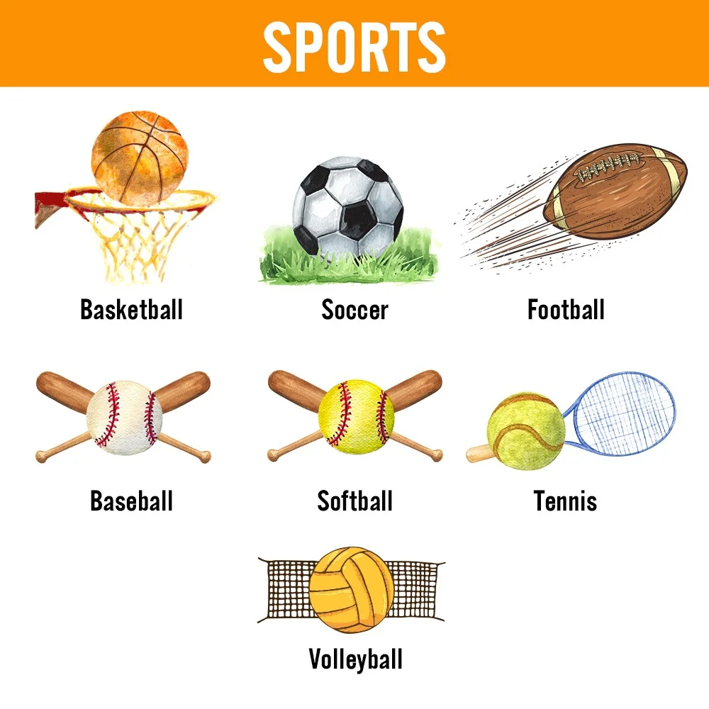 Personalized Multicolor Basketball Football Baseball Dog Hoodie with Name Number