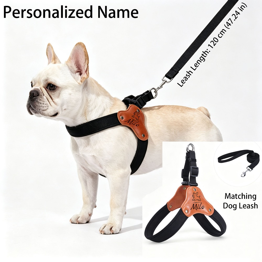 Personalized No-Pull Dog Harness