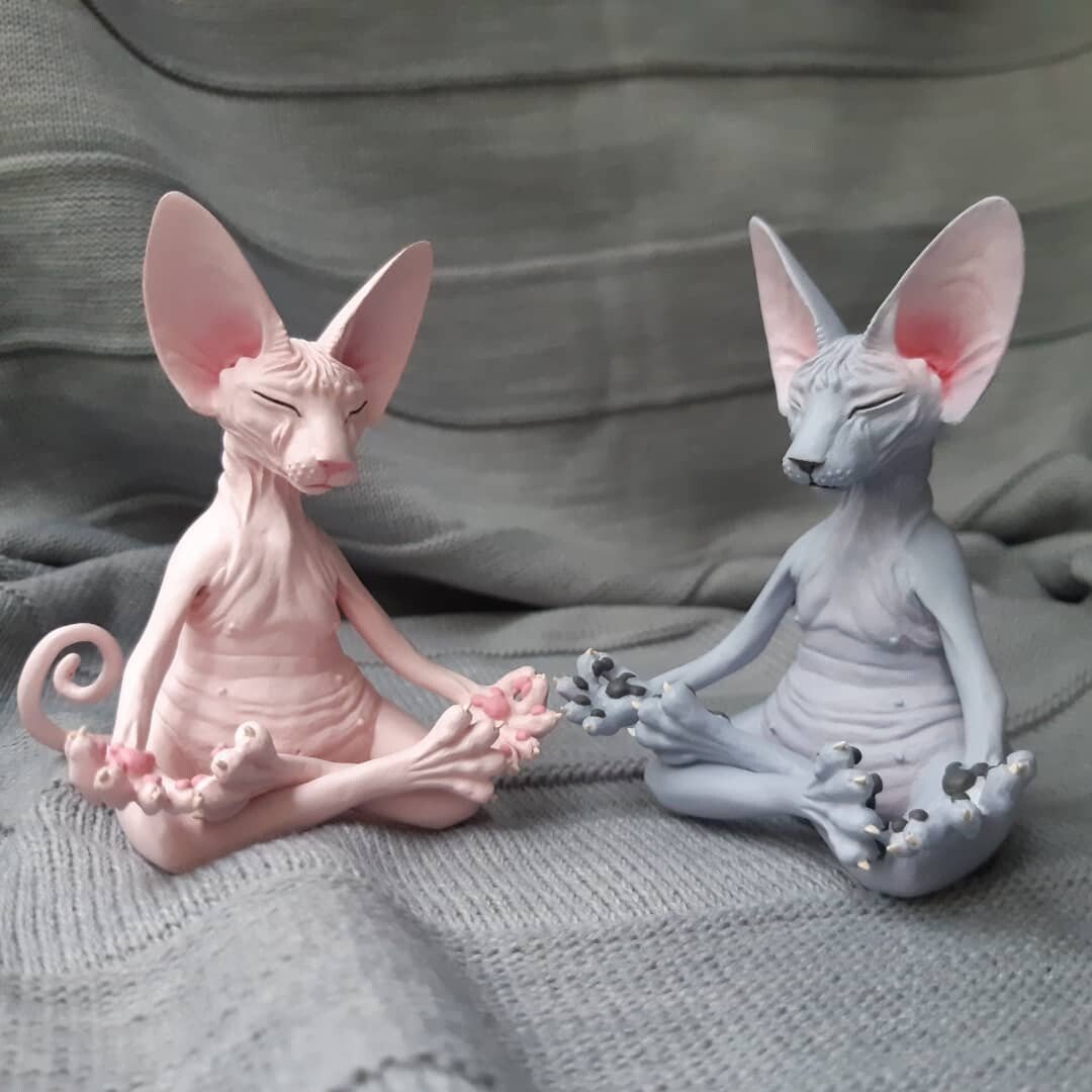 Sphynx Cat Meditate Yoga