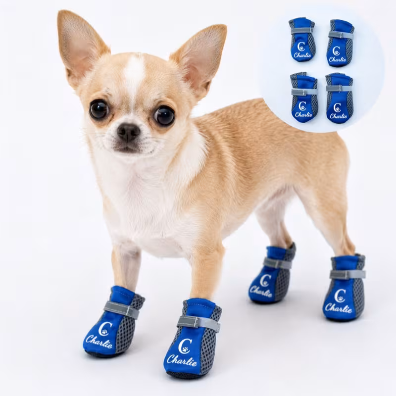 Personalized Name Pet Outdoor Shoes