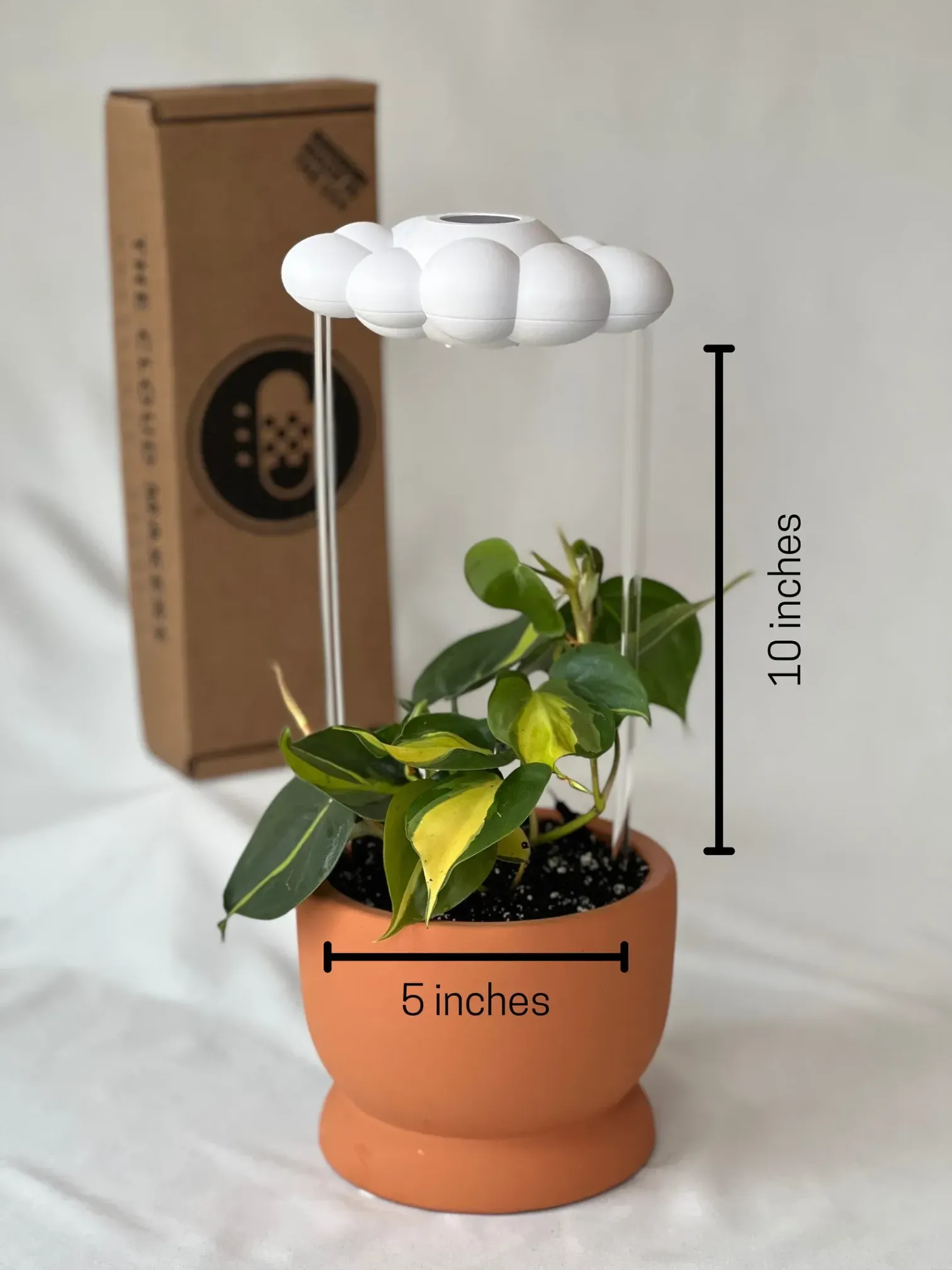 ORIGINAL DRIPPING RAIN CLOUD