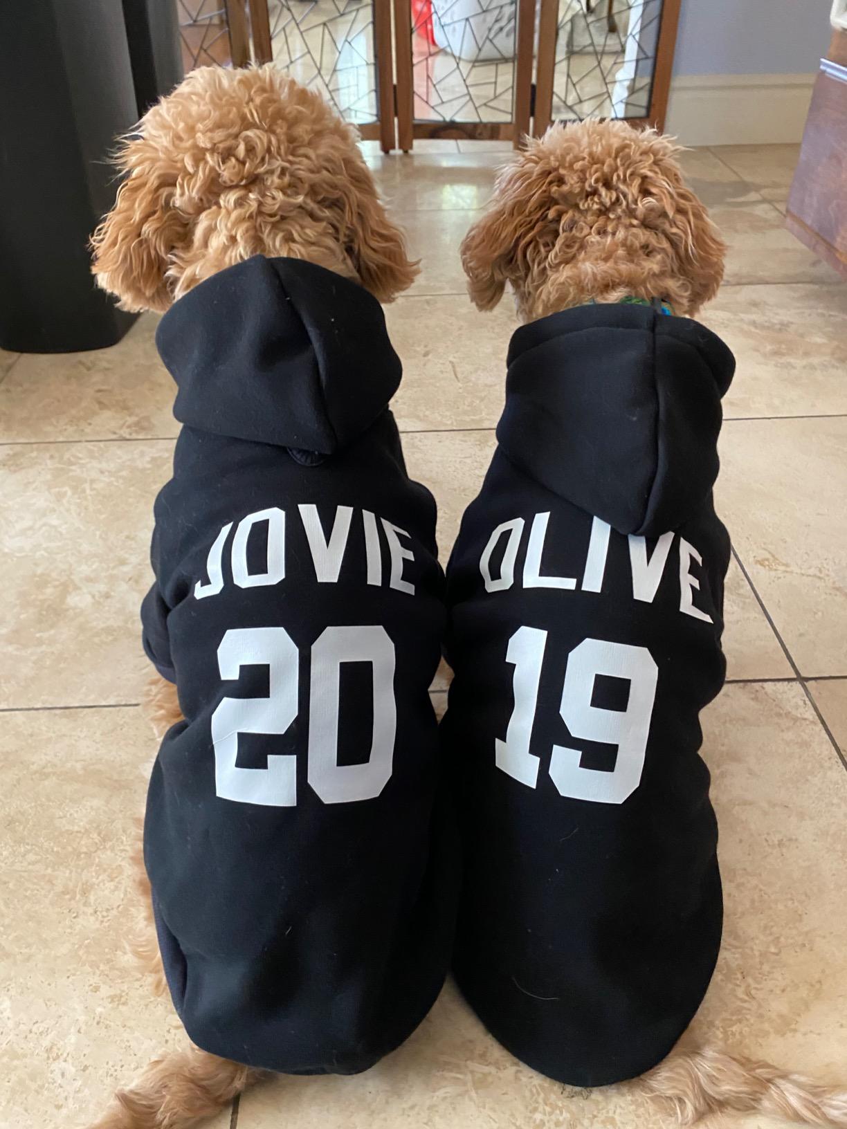 Custom Dog Hoodies