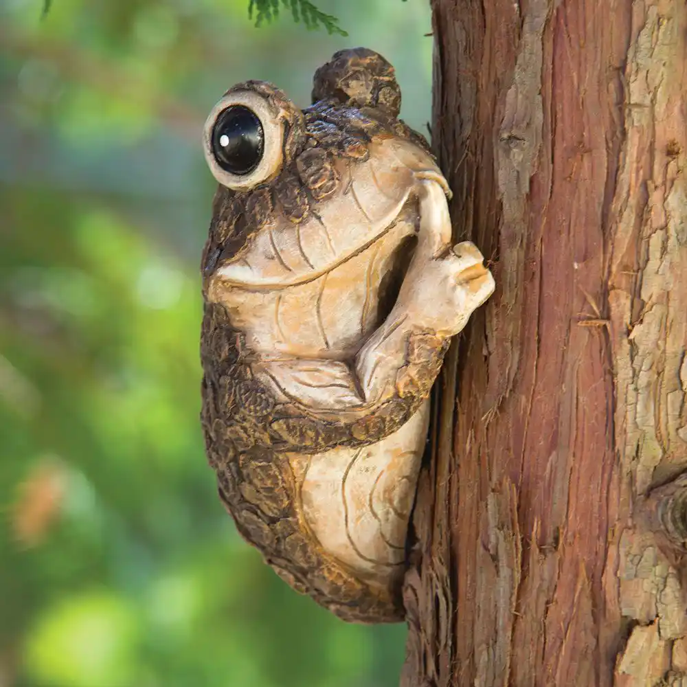 Keep Quiet Frog Tree Peeping Detector