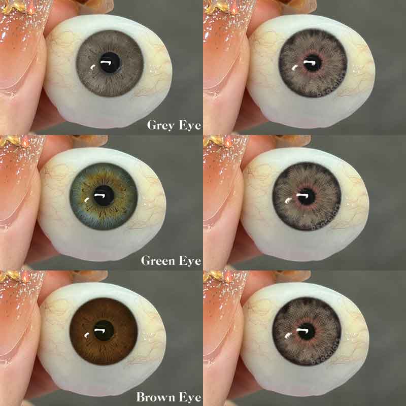 【New】Beacolors siri brown