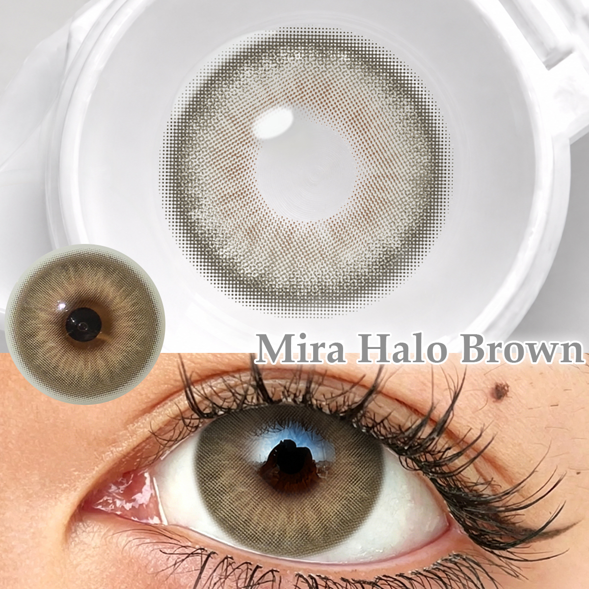 【New】Beacolors  Mira Halo Brown