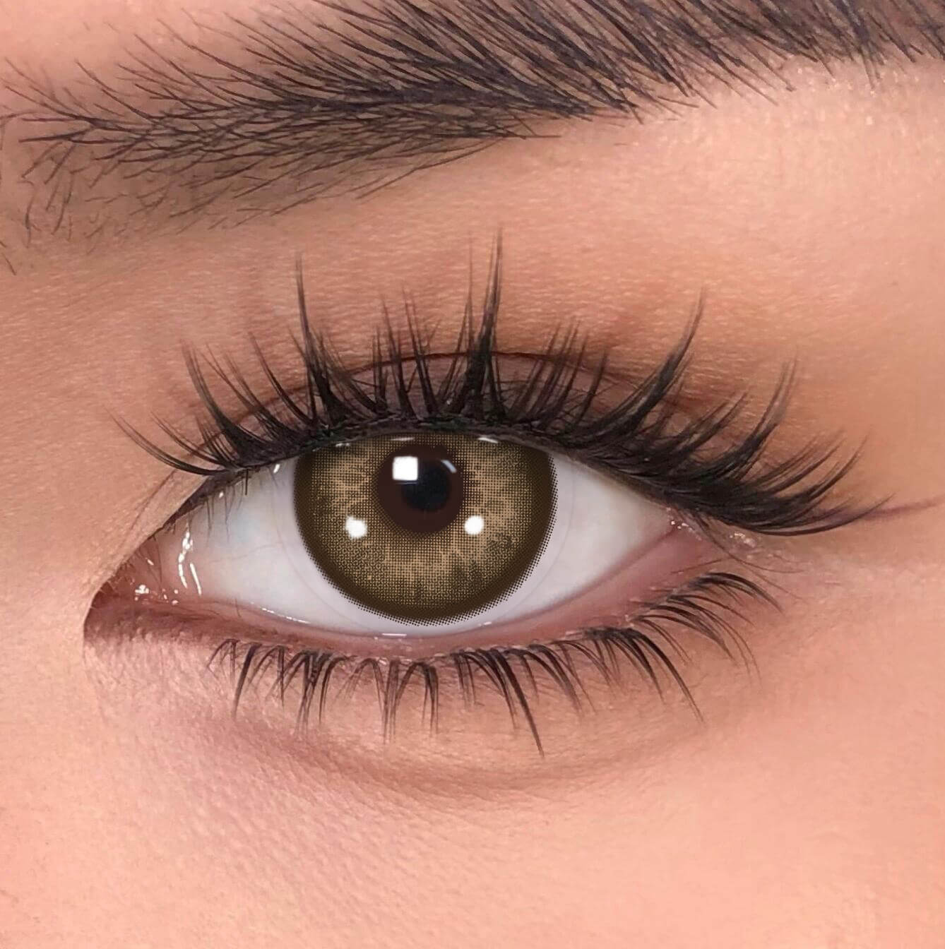 【New】Beacolors Forest Whisper Colored contact lenses -BEACOLORS