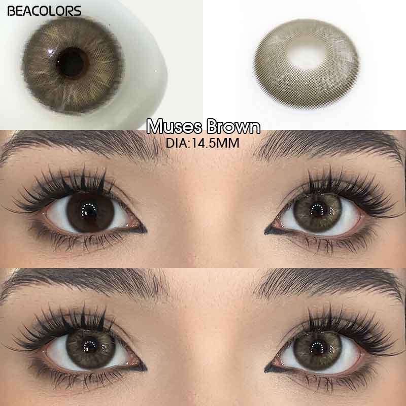 【New】Beacolors  Muses  Brown