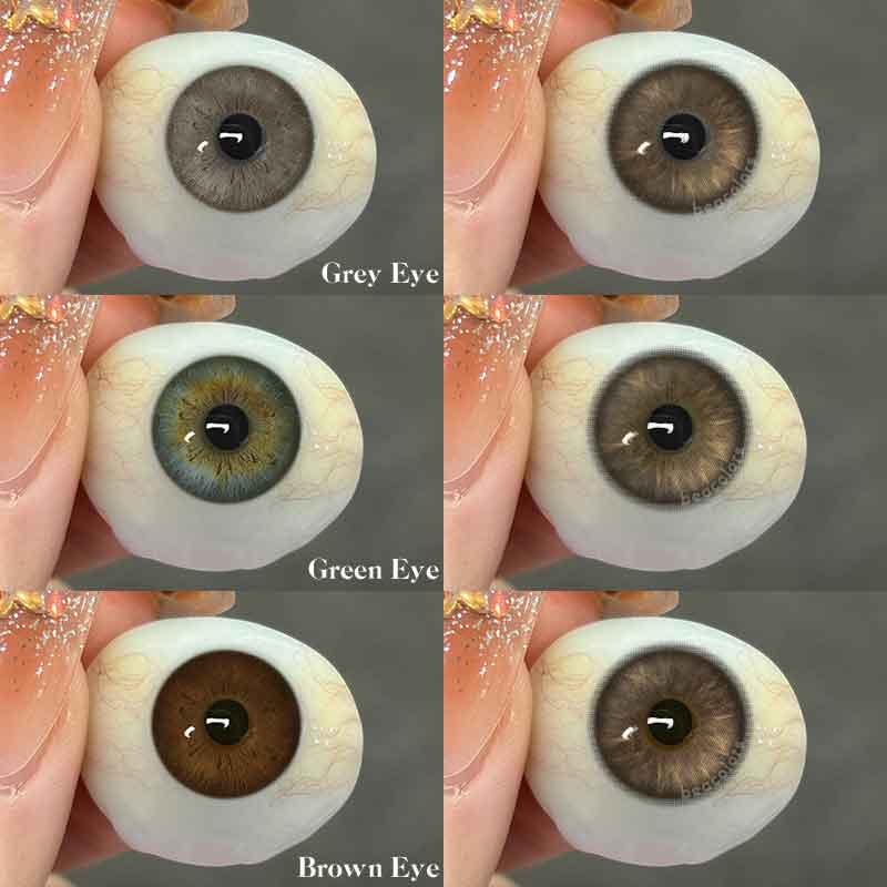 【New】Beacolors  Muses  Brown