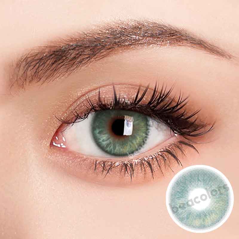 【New】Beacolors Persian cat Green