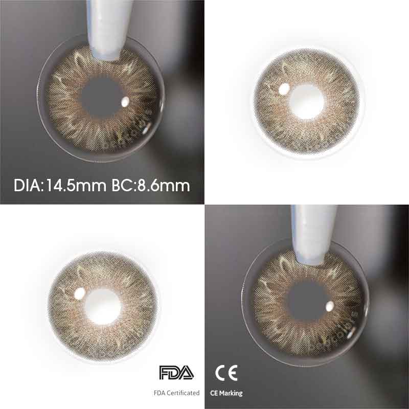 【New】Beacolors Velora Brown